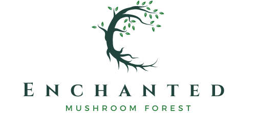 Enchanted Mushroom Forest